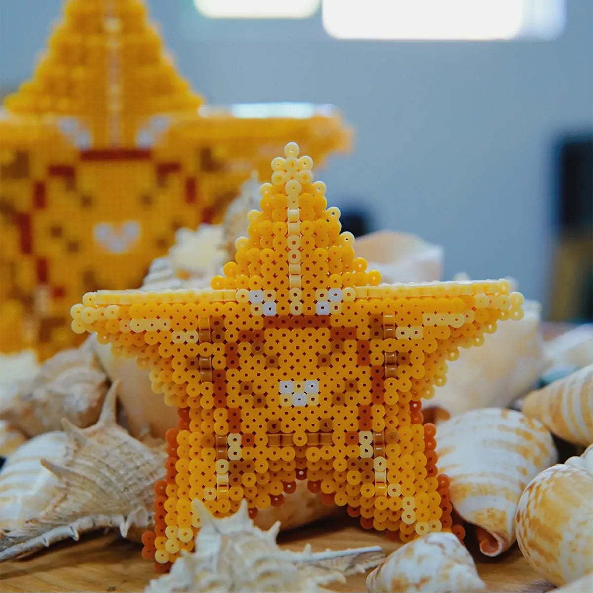 GL1-0021 3D Starfish Combo