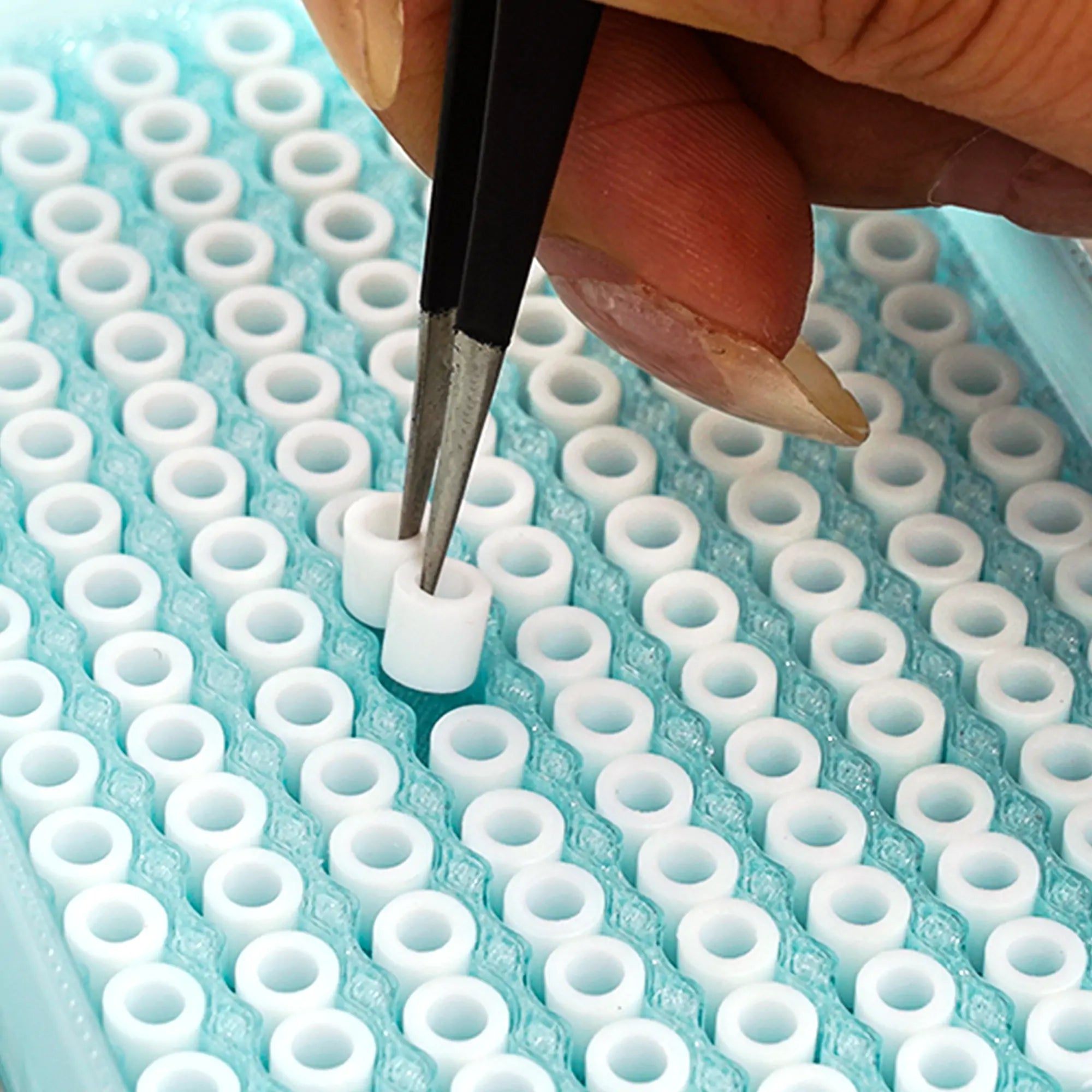 5MM Midi Beads Tray (Random Color) - 3D Printed Item