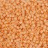 (SE12-SE15) New Color Series Caramel S-1KG in Bulk